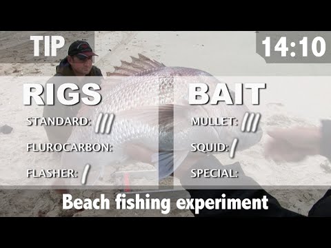 Fishing experiment. What is the best bait? Does Fluorocarbon increase catch?