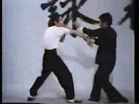 Sifu Wong Shun Leung Lap Sao - Chi Sao