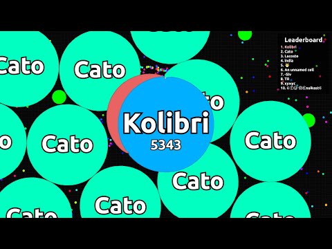 Agario Popsplit Fails 🤪 Peaceful Agar.io Solo Gameplay