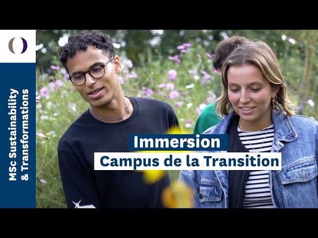 Image de présentation de la vidéo