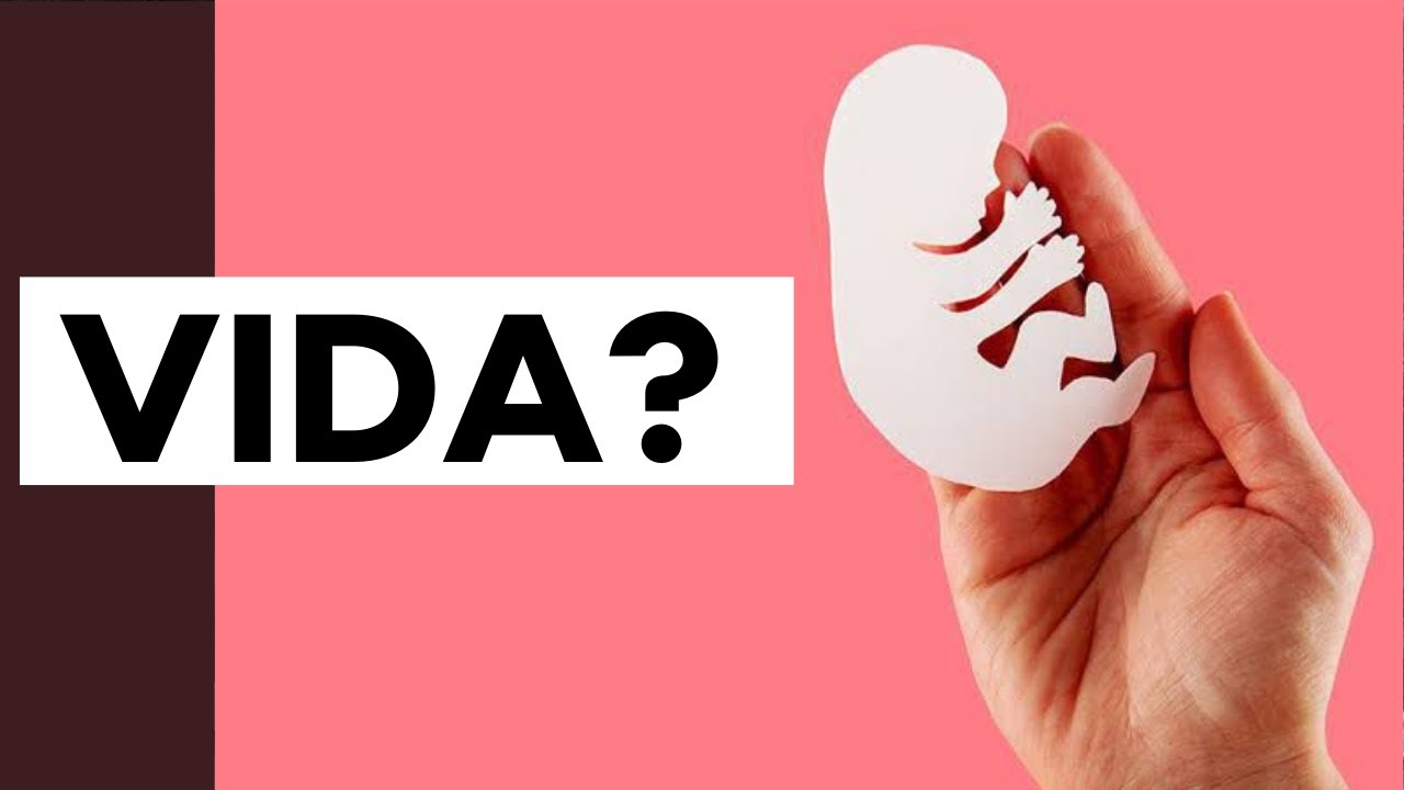 Quando começa a vida para a psicanálise? | Vera Iaconelli | Falando nIsso