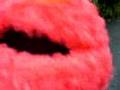 Elmos Storm Pt 2