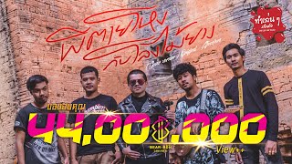 ผีตายโหงกับโลงไม้ยาง – วงแบเบาะ