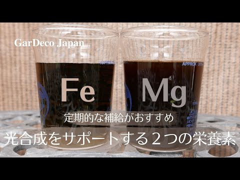 園芸 食用藻類、栄養素、風味