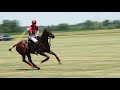 Polo Finals - July 5th 4-Goal Tournament