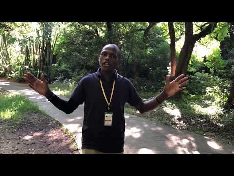 "Valley of Gangala"Guided tour Experience. #01 YouTube