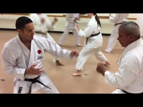 Karate Drills for Black Belts