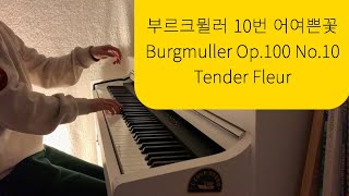 부르크뮐러 10번 어여쁜꽃 [완성곡] / 피아노연주: 입열음