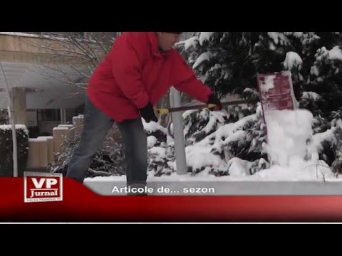 Articole de… sezon