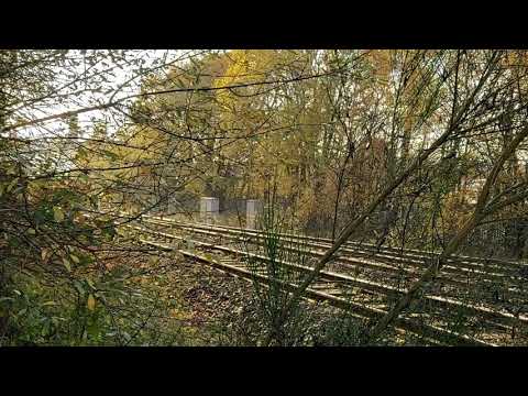Class 37 Thrash - Blackpool North - Derby R.T.C Test Train - 6th November 2020