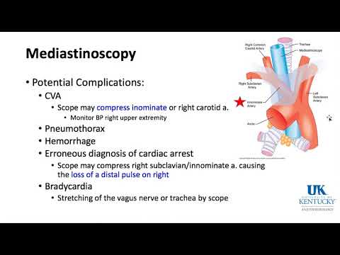 Keyword Review 2019 | Respiratory Anatomy, Physiology & Thoracic (part 5 of 5) - (Dr. Schell)