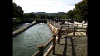 preview picture of video '倉敷市 酒津公園 2013年7月 (SAKAZU Park ,Kurashiki City Japan)'