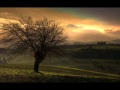 Michiru Oshima - Barren Fields of Mist 
