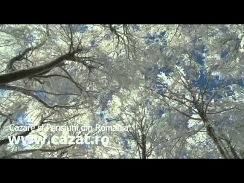 Cazare Mihailesti Popesti, Olt - Cazat.ro