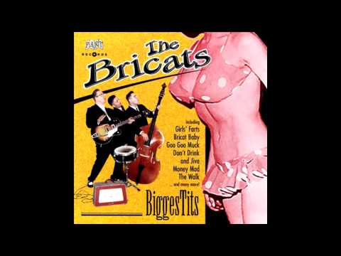 The Bricats - Goo Goo Muck (Ronnie Cook and The Gaylads Cover)