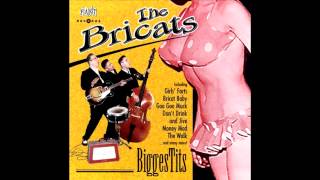 The Bricats - Goo Goo Muck (Ronnie Cook and The Gaylads Cover)