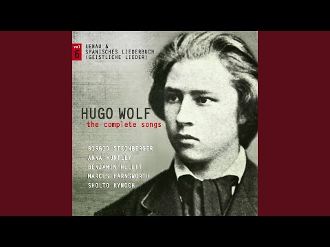 Frage nicht (Wie sehr ich dein)