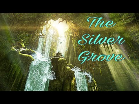 Warframe | The Silver Grove (Quest)