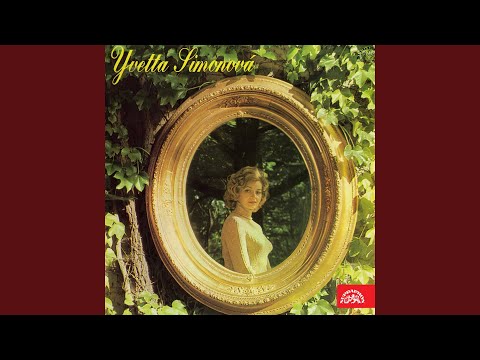 Tohleto mě zítra čeká