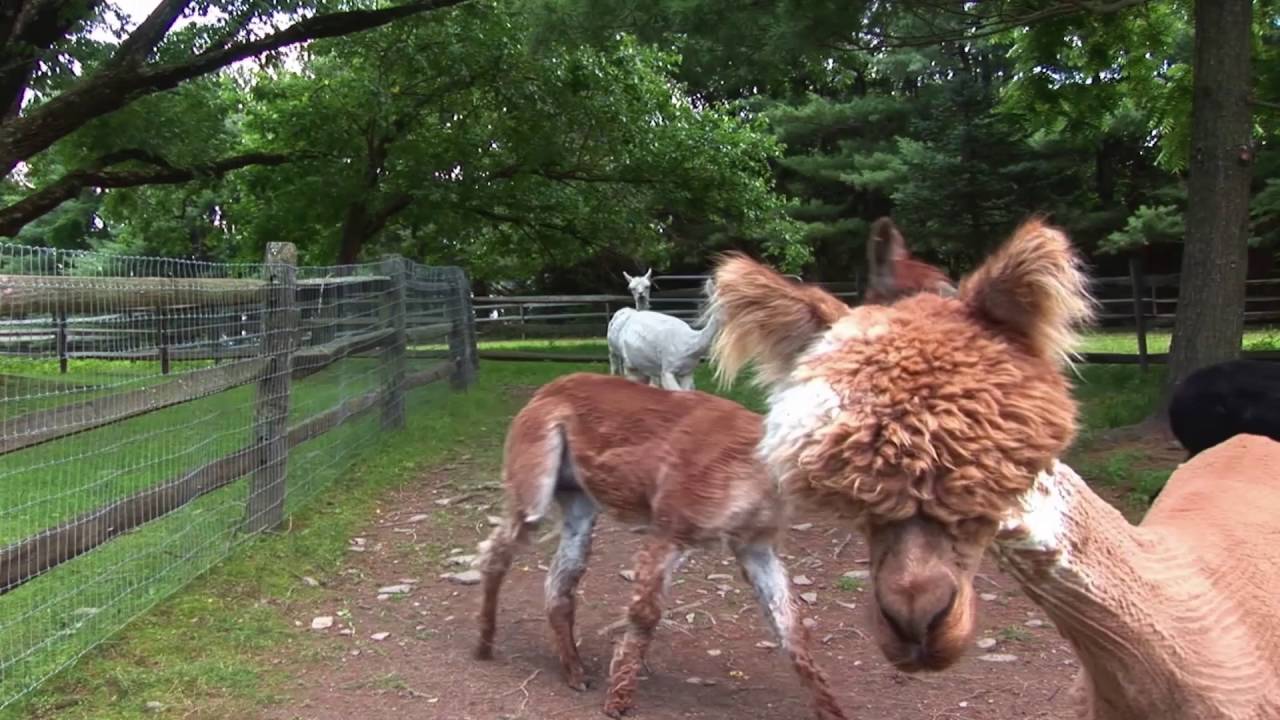 How accountants find and keep their dream clients on social media