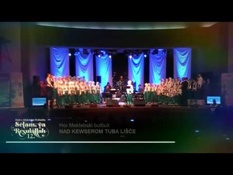 Mektebski bulbuli - Nad kevserom tuba lišće