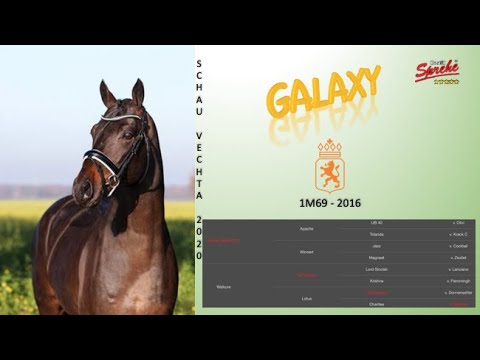 Galaxy @ Schau Vechta 2020