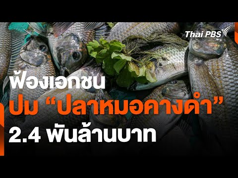 คลิกเพื่อดูคลิปวิดีโอ