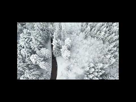 Buckethead - Hold Me Forever (Pike 65) (Full Album)