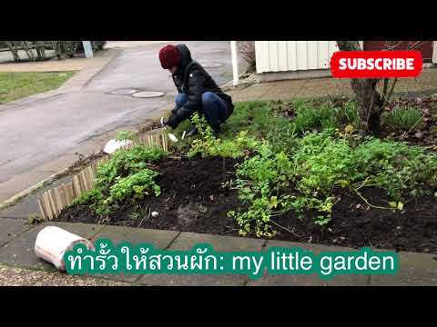 Ep284: #Wood sticks#ขอบสวนผัก#sweden#2020#indipendent#traveller#RABATTKANT#ร้าน#BILTEMA