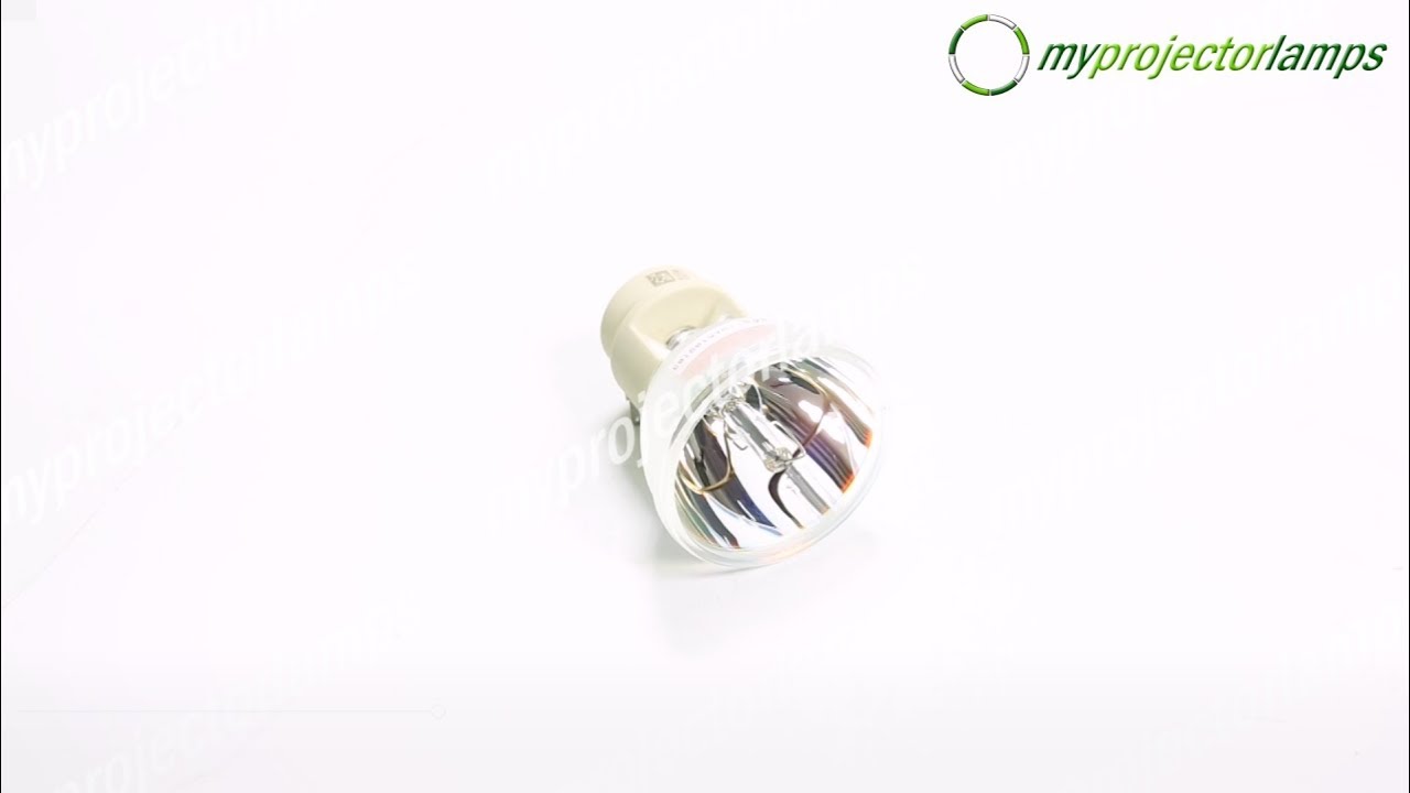 Viewsonic PRO8300 Lampe - Projektorbirne