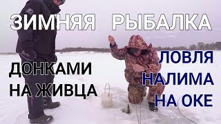 Где лучше ловить налима на оке фруктовая
