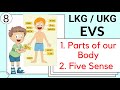 Part 8 LKG UKG EVS Course Parts Of The Body Name Our 5 Sense Organs Lkg Evs Online Classes