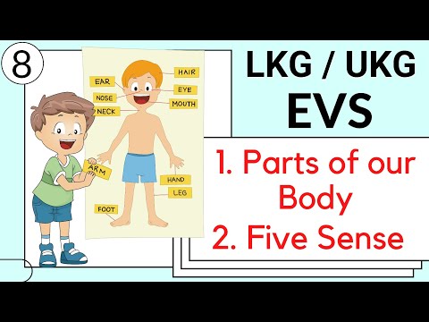 Part 8- LKG / UKG EVS Course | parts of the body name & our 5 sense organs | lkg evs online classes