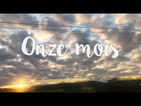 Onze mois