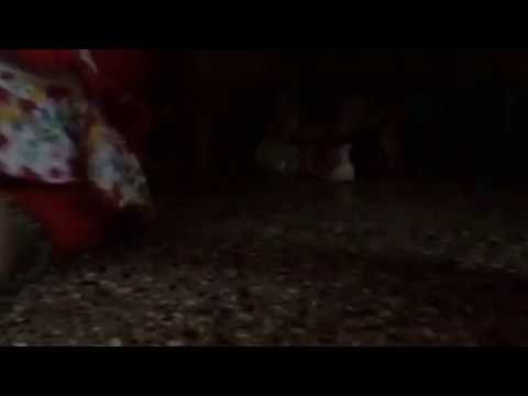 Varshasri plays with a cute kitten