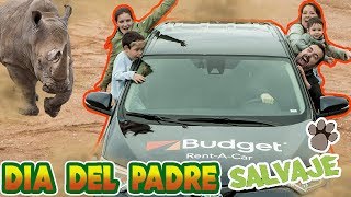 Paseo en coche por el Safari Madrid: nuestra experiencia en familia