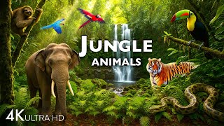Download lagu JUNGLE ANIMAL DISCOVERY / 60FPS 4K ULTRA HD #4K #ANIMALS mp3 Download lagu JUNGLE ANIMAL DISCOVERY / 60FPS 4K ULTRA HD #4K #ANIMALS mp3
