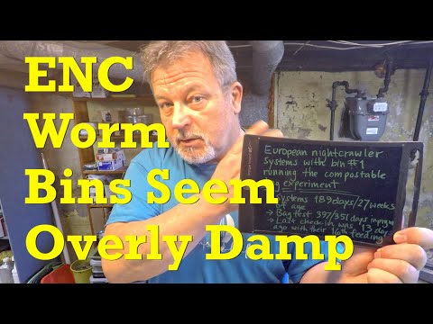 European nightcrawler worm bins at 189 days are way too damp - vermicompost