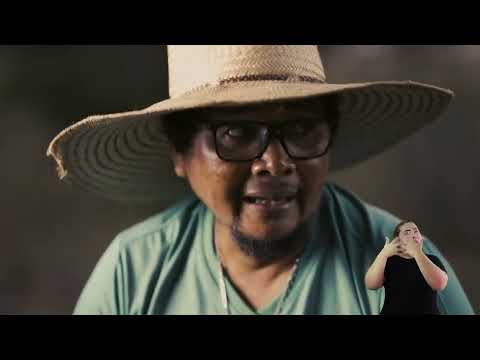 Raízes de Pimenteiras A Jornada de Alice Paes Serrath