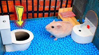 Hamster Maze Escape - Advetures 🛑Live Stream