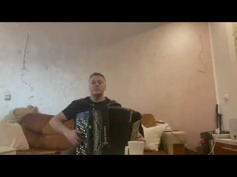 Kolo prijatelja-Novica Nikolic Patalo