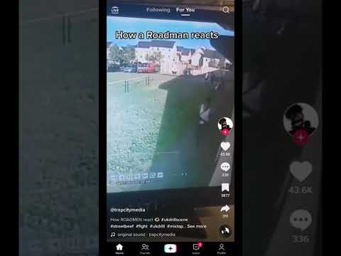 Booter Bee & GR chase opps in brackenhall