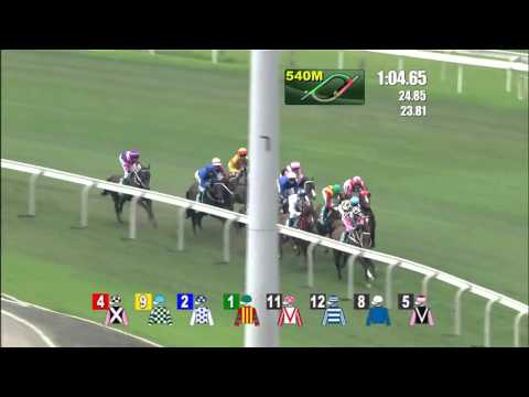 [Champions Mile & Chairman's Sprint Prize 2016] MAURICE won the Champions Mile 2016