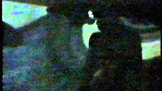 Butthole Surfers - Newport, Wales 5th August 1987 - "100 million people dead"