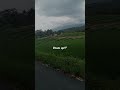 Jalan Jalan Sore ️