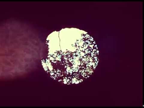 Omni Selassi - Ex Voto