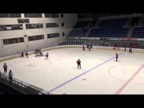 20150219 - Vasas-MAC