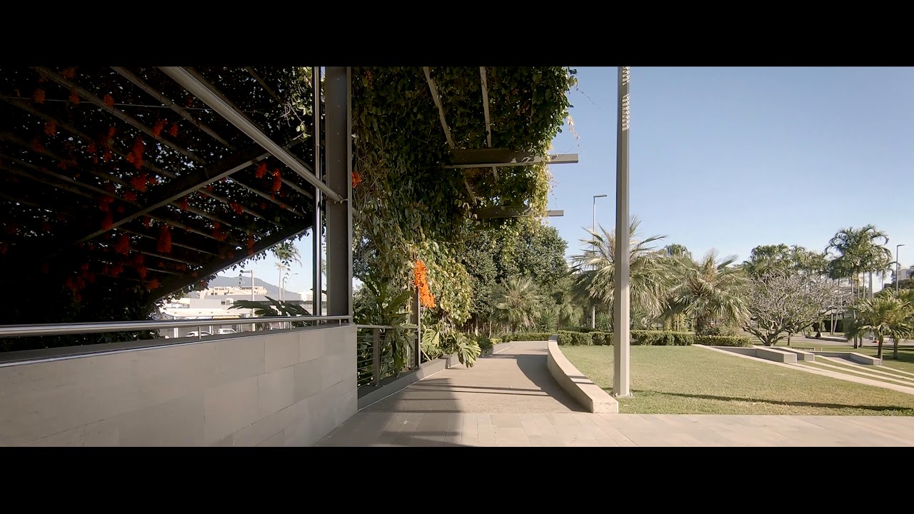 Experience a virtual stroll through Munro Martin Parklands.