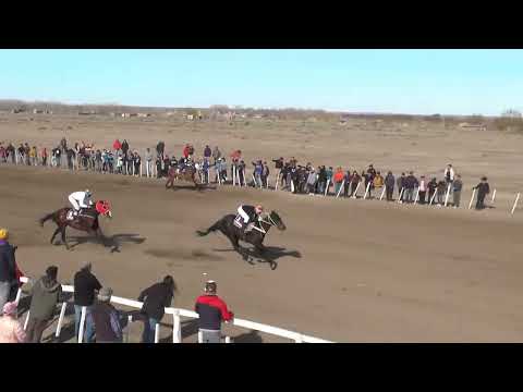 PADRINO  Club Hípico Cabo Alarcón - Picun Leufu - 27/08/2023