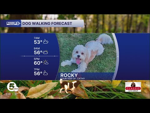 Wet puppy paws this morning - YouTube